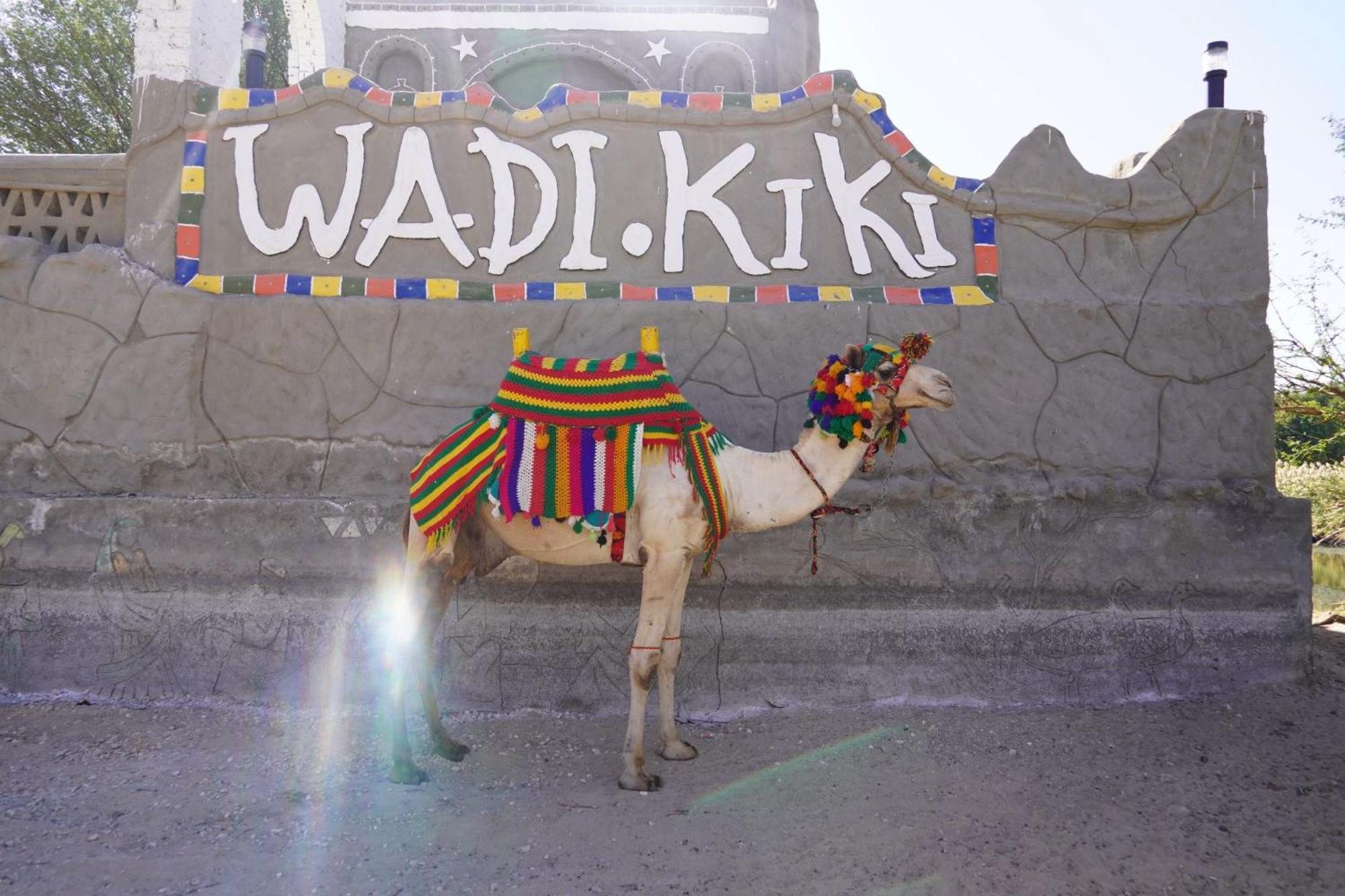 Artika Wadi Kiki Hotel Aswan Zewnętrze zdjęcie